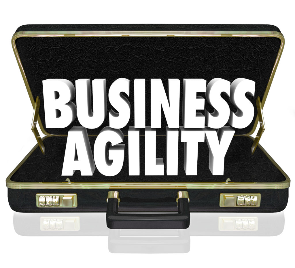 Neuro-Agility in Business